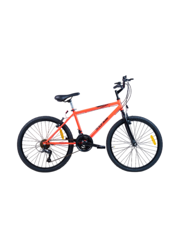 ENRIQUE SAFARI | R24