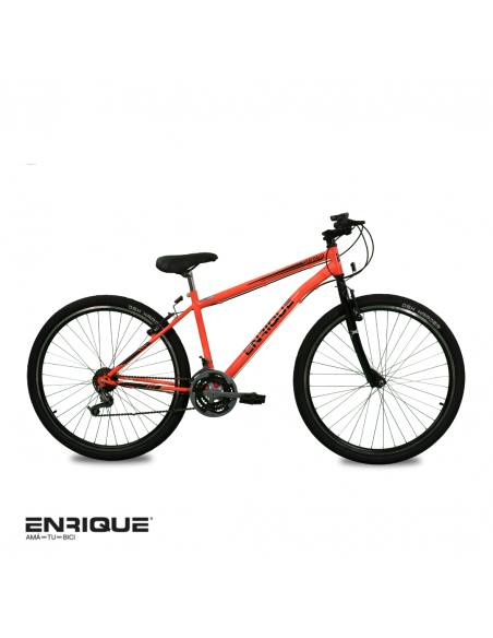 ENRIQUE VERTIGO R29