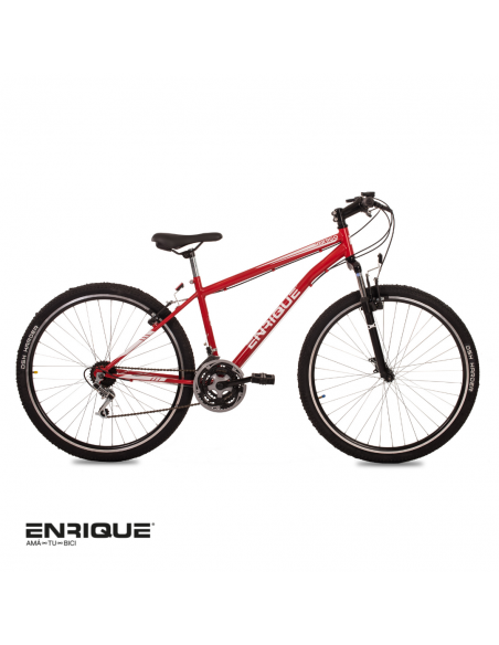 ENRIQUE VERTIGO R29