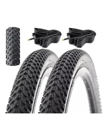 COMBO CAMARA Y CUBIERTA R29