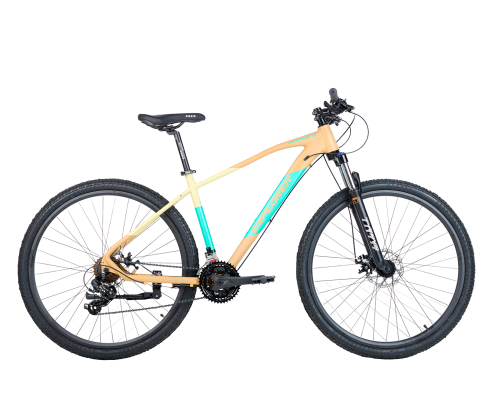 EXPLORER ADVENTURE 1.0 | R29 2