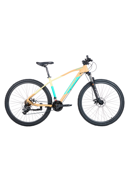 EXPLORER ADVENTURE 1.0 | R29