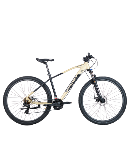 EXPLORER ADVENTURE 1.0 | R29