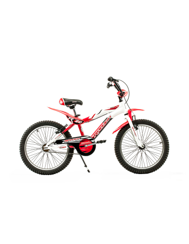 RALEIGH MXR20 R20
