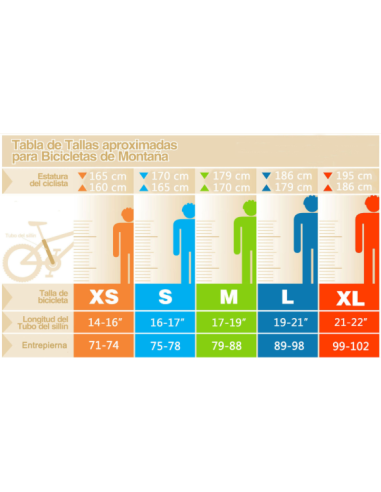 VENZO LOKI SHADOW | R29