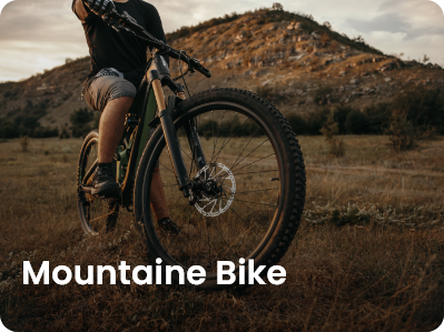 Mountain bike
