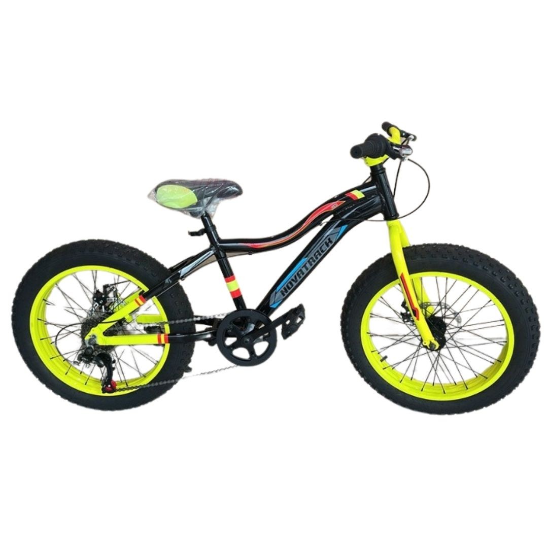 FAT BIKE I R20