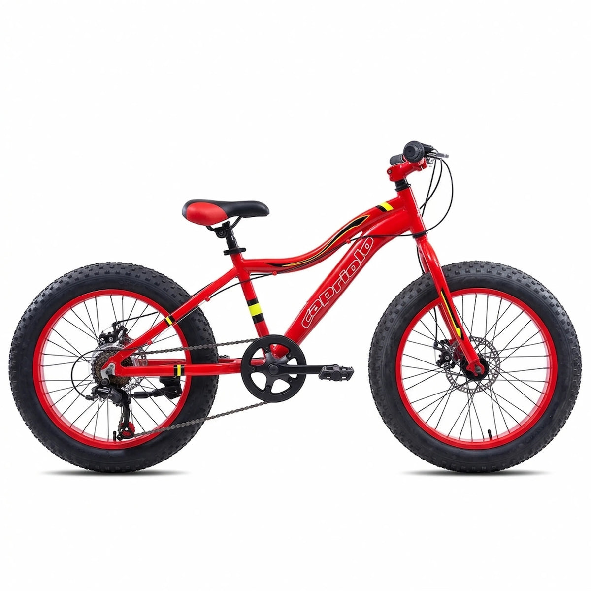FAT BIKE I R20